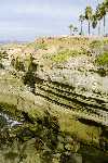 Click to see SD045226.JPG