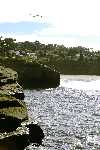 Click to see SD045242.JPG