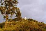 Click to see SD045266.JPG