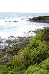 Click to see SD045286.JPG