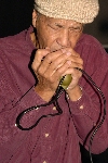 Click to see _DSC7137.JPG
