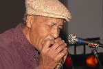 Click to see _DSC7141.JPG