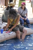 Click to see _GIG0463.JPG