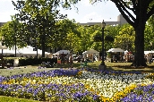 Click to see _GIG0481.JPG