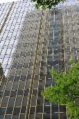Click to see _GIG0539.JPG