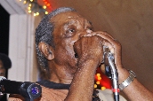 Click to see _GIG0703.JPG