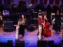 Click to see DSC09194.JPG