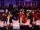 Click to see DSC09201.JPG