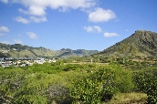 Click to see _HAW0016.JPG