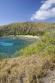 Click to see _HAW0021.JPG