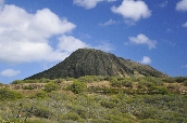 Click to see _HAW0029.JPG