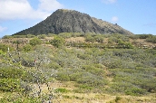 Click to see _HAW0030.JPG