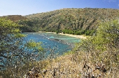 Click to see _HAW0035.JPG