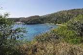 Click to see _HAW0042.JPG