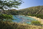 Click to see _HAW0043.JPG
