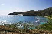Click to see _HAW0051.JPG