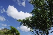 Click to see _HAW0057.JPG