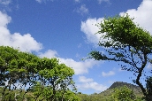 Click to see _HAW0058.JPG