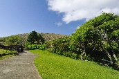Click to see _HAW0060.JPG