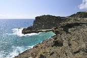 Click to see _HAW0067.JPG