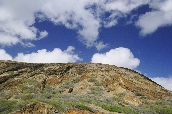 Click to see _HAW0071.JPG
