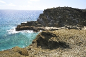 Click to see _HAW0073.JPG
