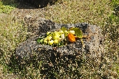 Click to see _HAW0147.JPG