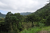 Click to see _HAW0176.JPG