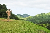Click to see _HAW0180.JPG