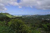 Click to see _HAW0181.JPG