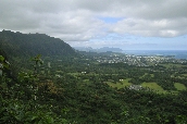 Click to see _HAW0191.JPG