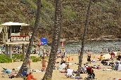 Click to see _HAW0210.JPG