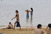 Click to see _HAW0213.JPG
