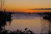Click to see _HAW0257.JPG