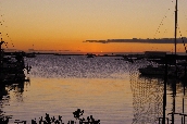 Click to see _HAW0258.JPG
