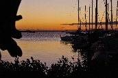 Click to see _HAW0260.JPG