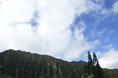 Click to see _HAW0265.JPG