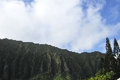 Click to see _HAW0266.JPG