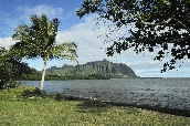 Click to see _HAW0268.JPG