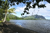 Click to see _HAW0272.JPG
