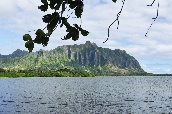 Click to see _HAW0273.JPG