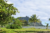 Click to see _HAW0274.JPG