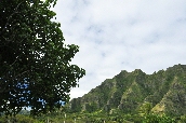 Click to see _HAW0276.JPG