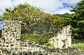 Click to see _HAW0278.JPG