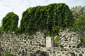 Click to see _HAW0280.JPG