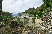 Click to see _HAW0281.JPG