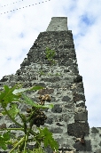 Click to see _HAW0282.JPG