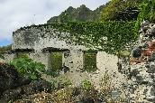 Click to see _HAW0287.JPG