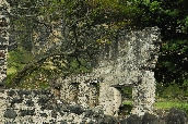 Click to see _HAW0288.JPG