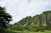 Click to see _HAW0289.JPG